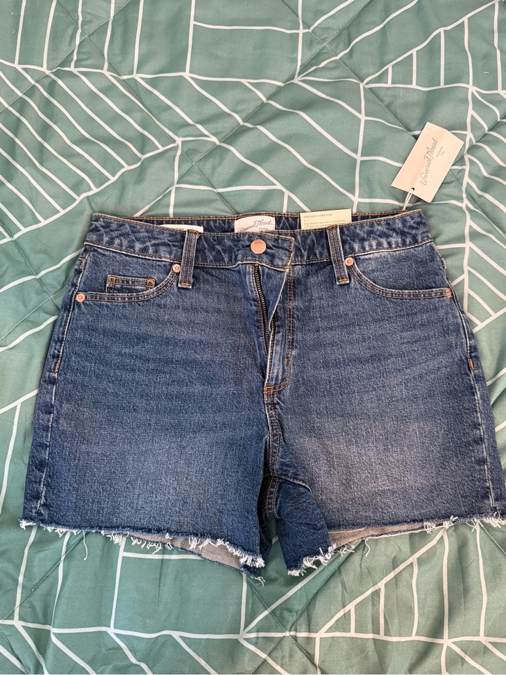 Raw Hem Denim Shorts